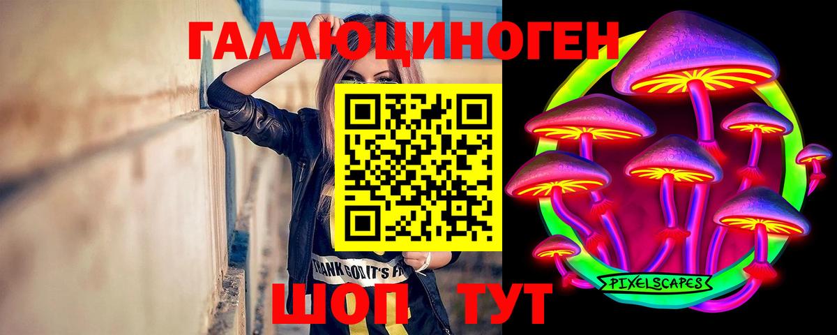Тюмень  Псилоцибиновые грибы Psilocybine cubensis  Псилоцибиновые грибы прущие грибы  где можно купить   Вход с VPN 